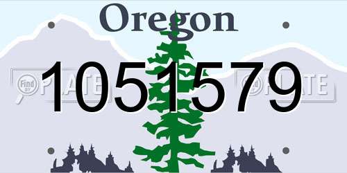 1051579 Oregon License Plate