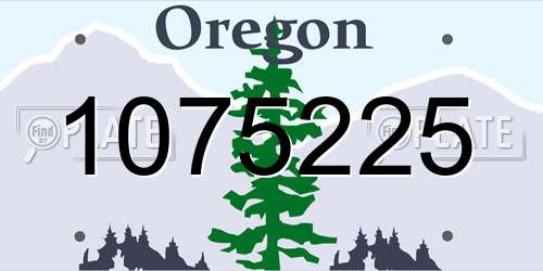 1075225 Oregon License Plate