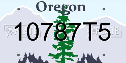 10787T5 Oregon License Plate