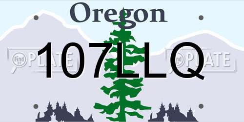 107LLQ Oregon License Plate