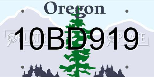 10BD919 Oregon License Plate