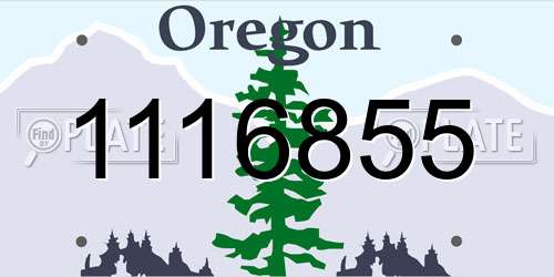 1116855 Oregon License Plate