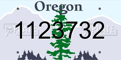1123732 Oregon License Plate