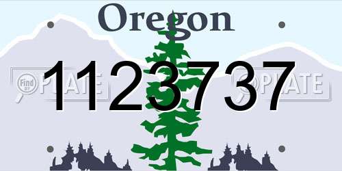 1123737 Oregon License Plate