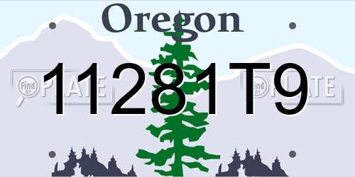 11281T9 Oregon License Plate