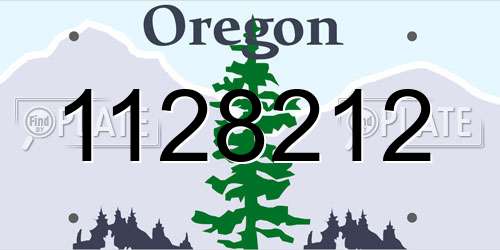 1128212 Oregon License Plate