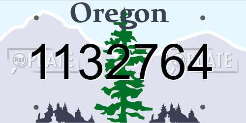 1132764 Oregon License Plate