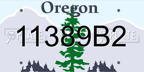 11389B2 Oregon License Plate