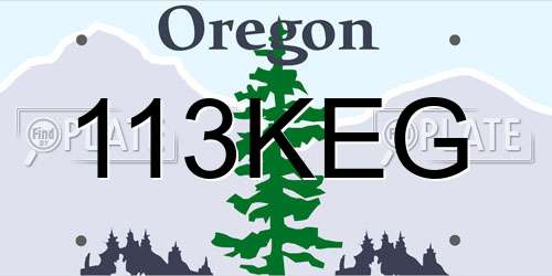 113KEG Oregon License Plate