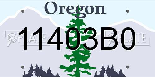 11403B0 Oregon License Plate