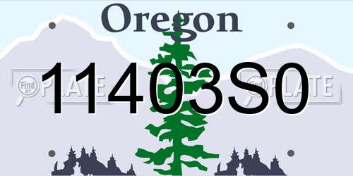 11403S0 Oregon License Plate