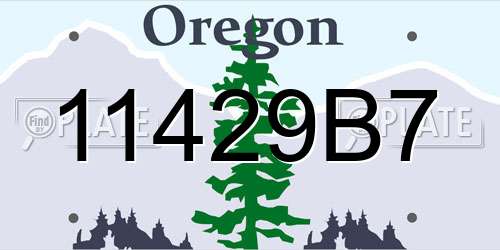 11429B7 Oregon License Plate