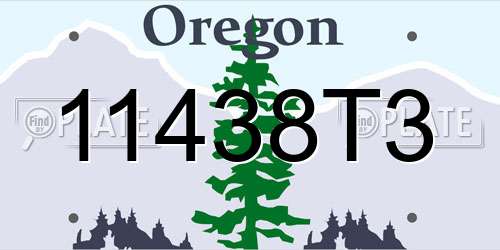 11438T3 Oregon License Plate