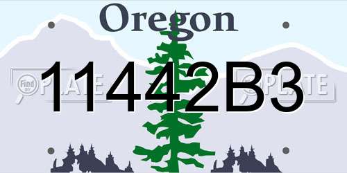 11442B3 Oregon License Plate