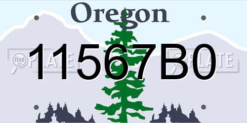 11567B0 Oregon License Plate