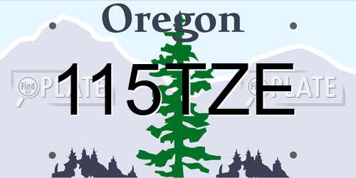 115TZE Oregon License Plate