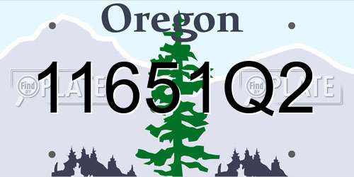 11651Q2 Oregon License Plate