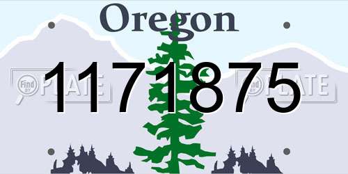 1171875 Oregon License Plate