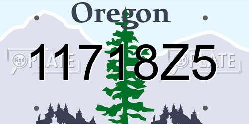 11718Z5 Oregon License Plate