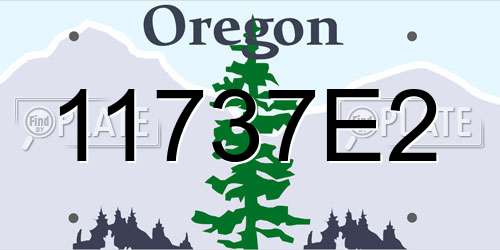11737E2 Oregon License Plate