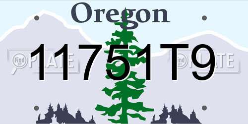 11751T9 Oregon License Plate