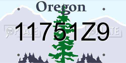 11751Z9 Oregon License Plate