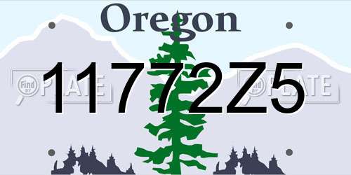 11772Z5 Oregon License Plate