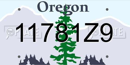 11781Z9 Oregon License Plate