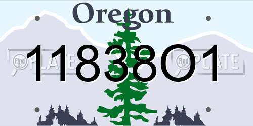 11838O1 Oregon License Plate