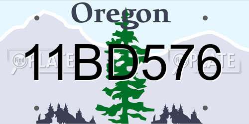 11BD576 Oregon License Plate