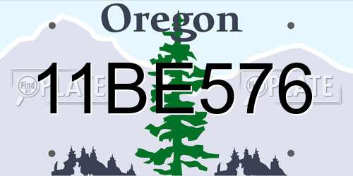11BE576 Oregon License Plate