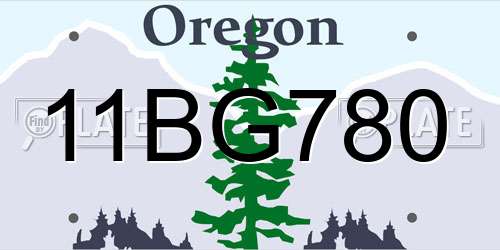11BG780 Oregon License Plate