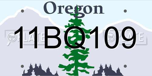 11BQ109 Oregon License Plate