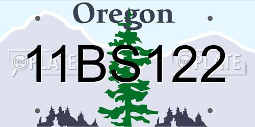 11BS122 Oregon License Plate