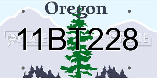 11BT228 Oregon License Plate