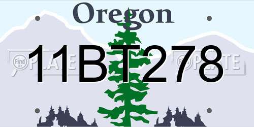 11BT278 Oregon License Plate