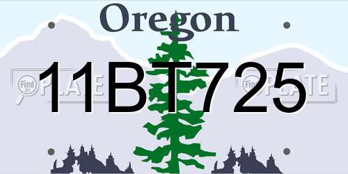 11BT725 Oregon License Plate