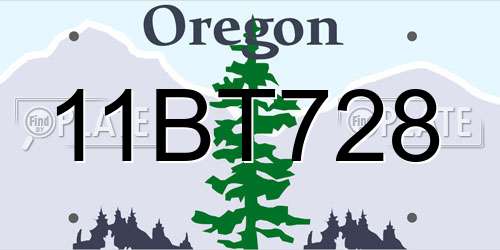 11BT728 Oregon License Plate