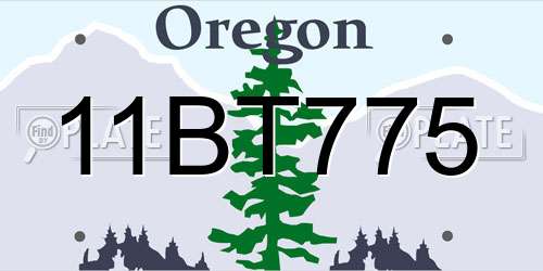 11BT775 Oregon License Plate