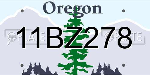 11BZ278 Oregon License Plate
