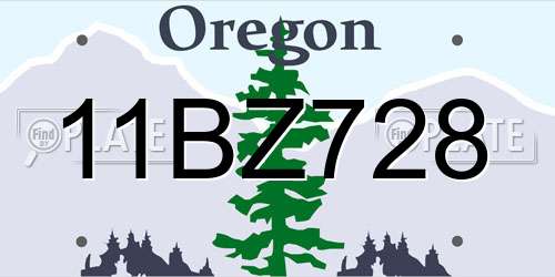 11BZ728 Oregon License Plate