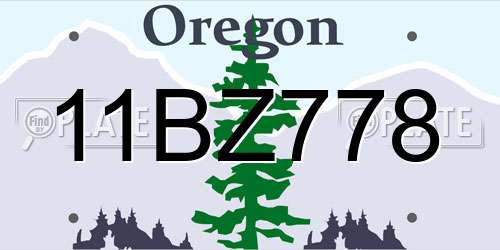 11BZ778 Oregon License Plate