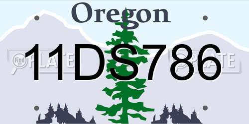 11DS786 Oregon License Plate