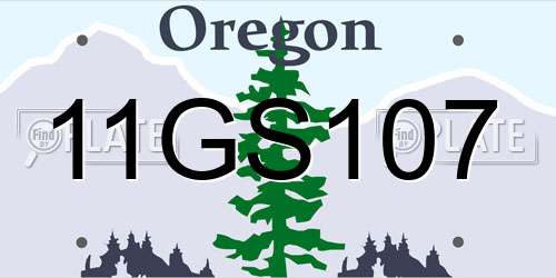 11GS107 Oregon License Plate