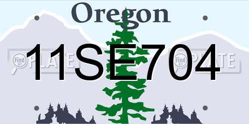 11SE704 Oregon License Plate