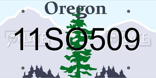 11SO509 Oregon License Plate
