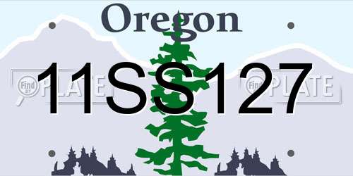 11SS127 Oregon License Plate
