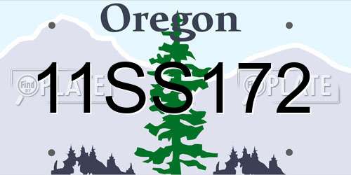 11SS172 Oregon License Plate