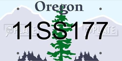 11SS177 Oregon License Plate