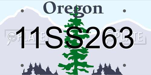 11SS263 Oregon License Plate